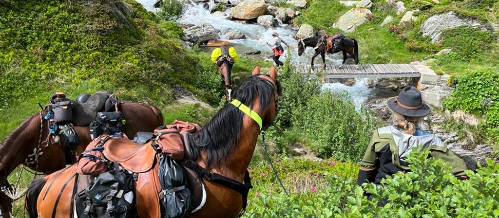 Berg-Training für das Pferd