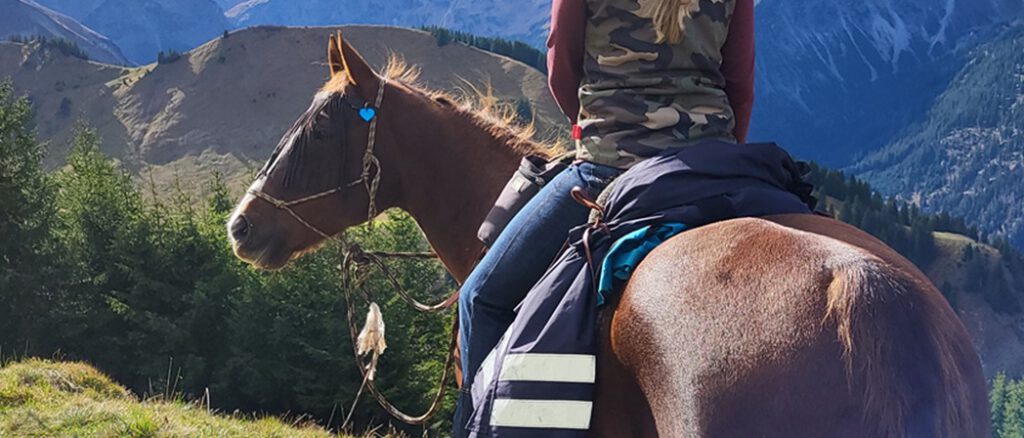 Natural Hackamore als Kopfstück mit Zügeln und Führseil